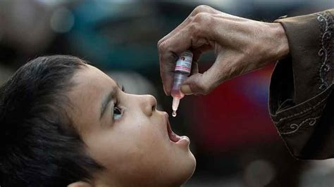 antonyms of confidence|Polio vaccines are coming to children in Gaza. What .